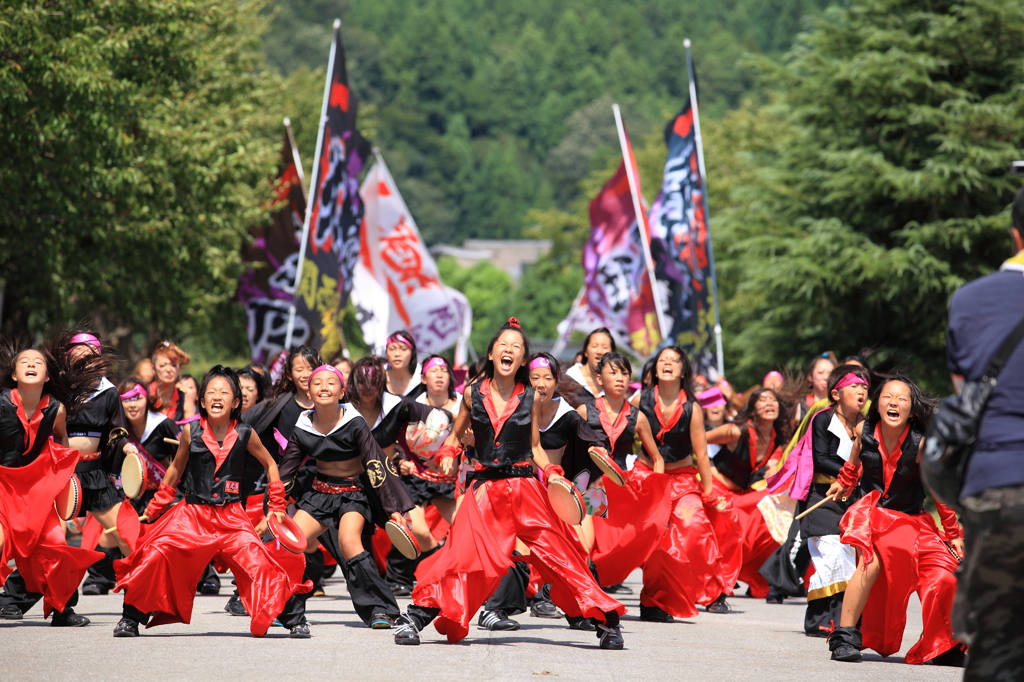 あっぱれ祭り(よさこい③)