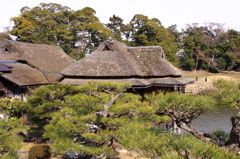 茅葺が似合う空間