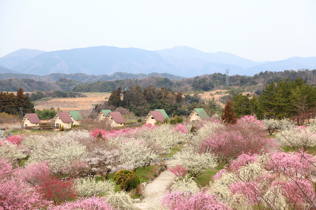 メルヘンチックな風景②