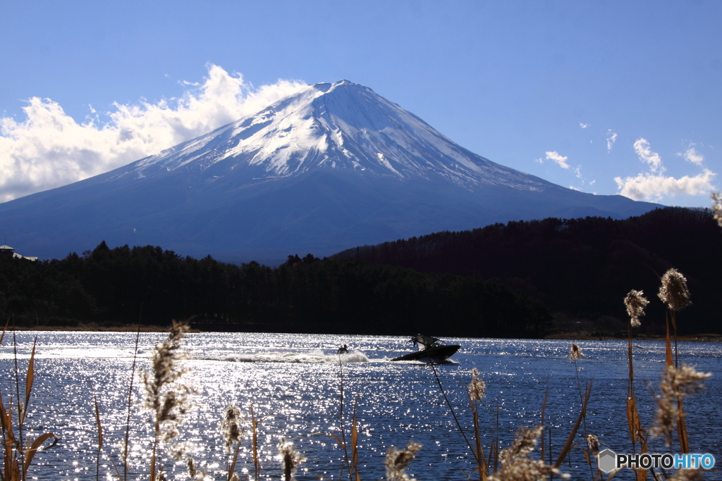 裾野の湖