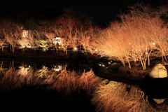 鏡池