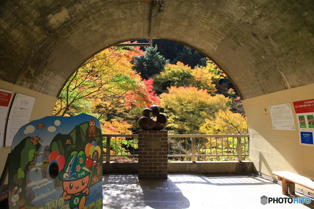 垣間見る紅葉