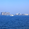 びわ湖を行く遊覧船