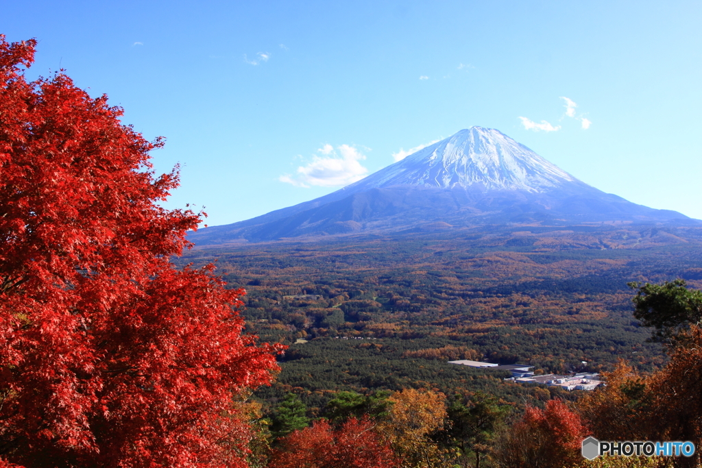 紅葉と富士