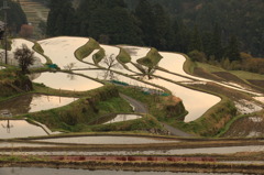 田植えを待つ棚田