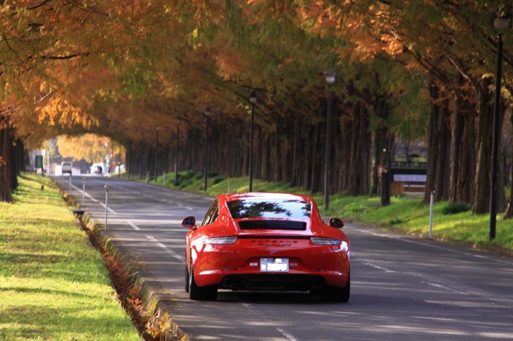 紅葉トンネルを走る赤い車