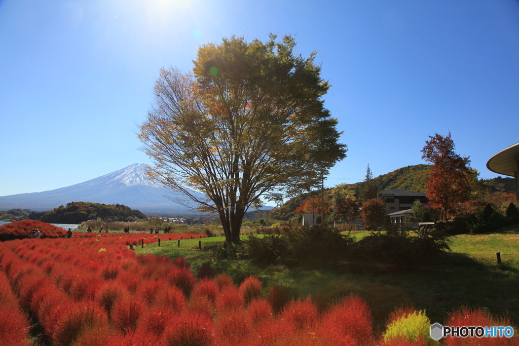 富士の秋景色