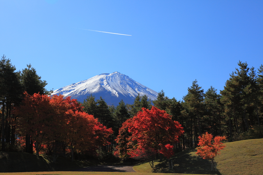 富士山と紅葉