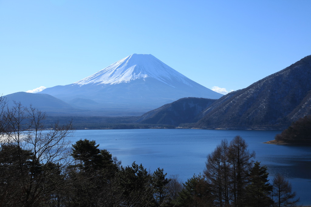 富士の雄姿