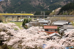 幸せの黄色