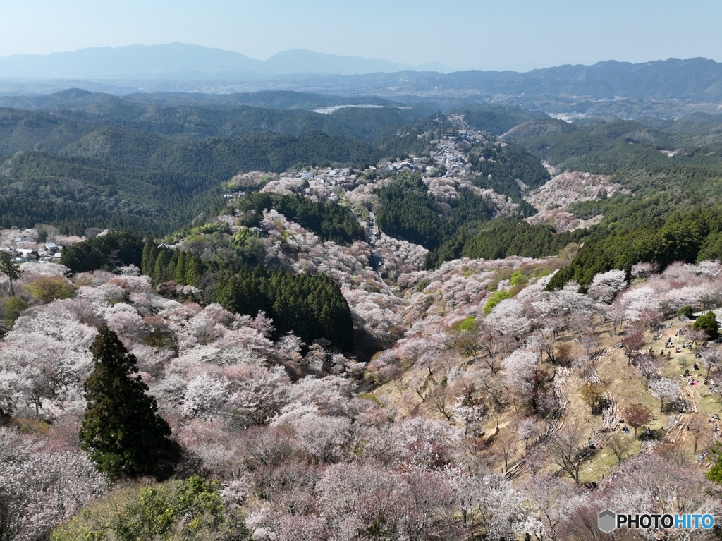 ドローンで見る吉野山