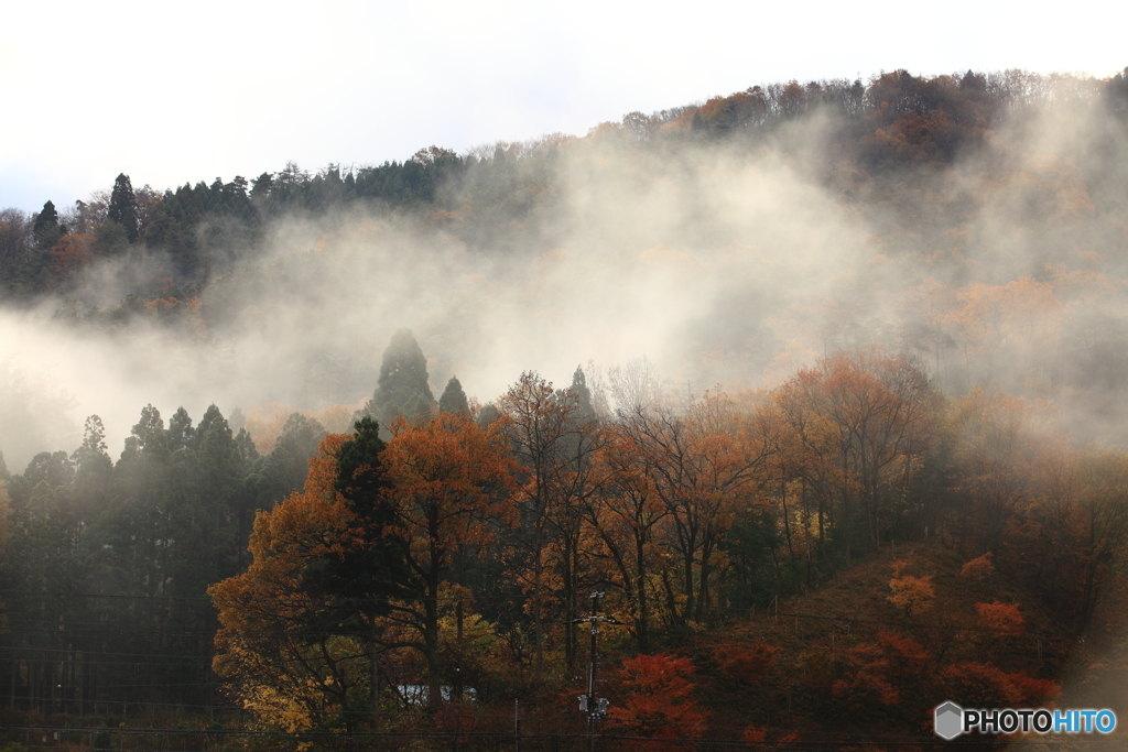 紅葉と霧