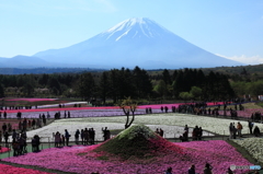 だぶる富士