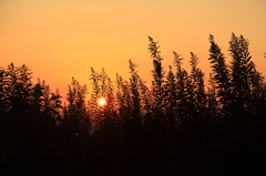 向こうは夕焼け