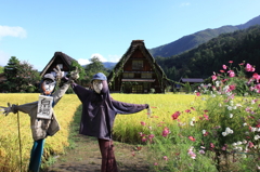 かかしと合掌造り