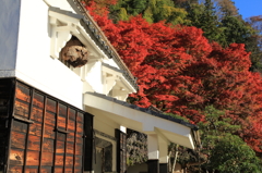 晩秋の赤白の風景