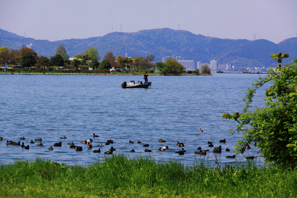 今時のびわ湖