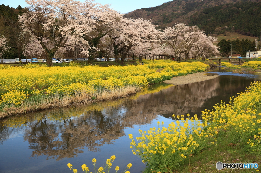 川面の映る春