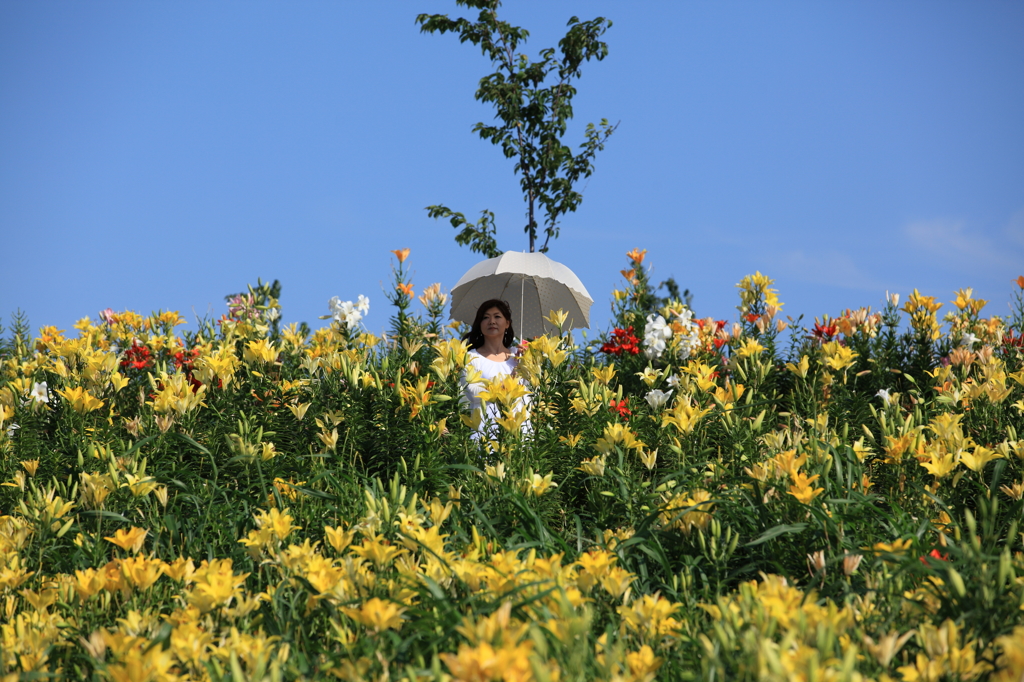 花園パラソル