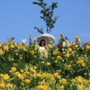 花園パラソル