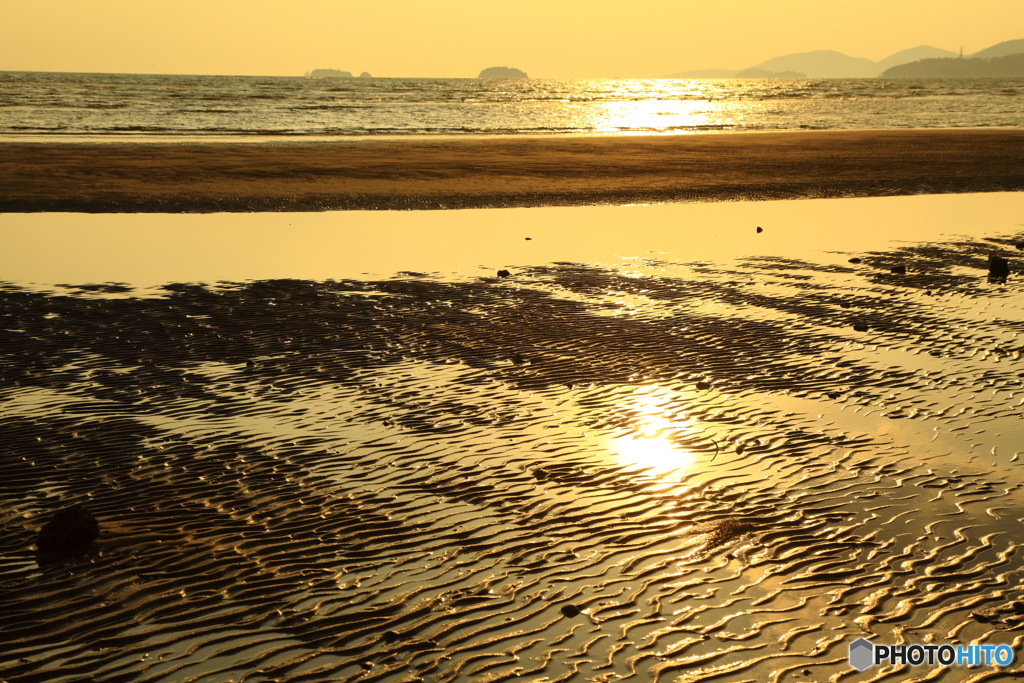干潟の夕焼け