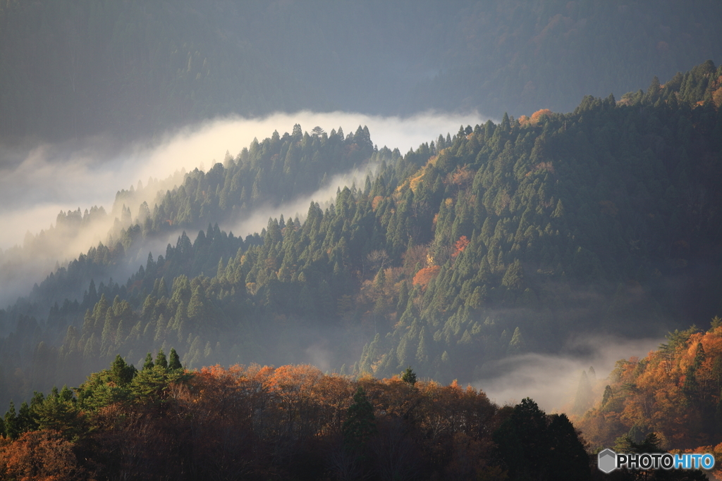 晩秋の山