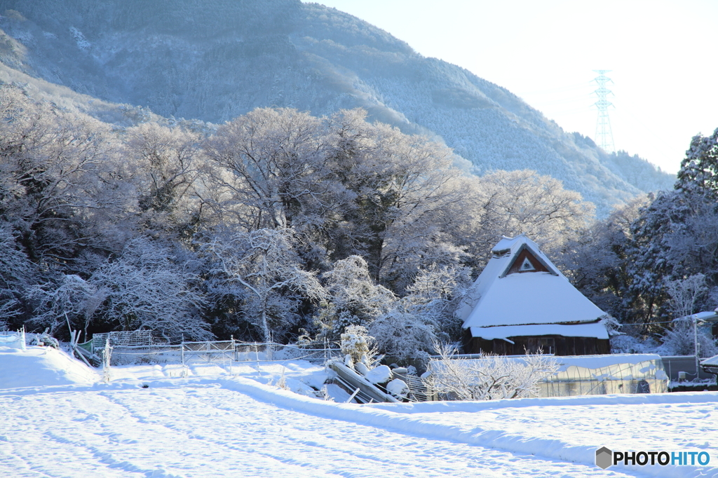山里の雪化粧