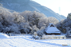 山里の雪化粧