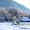 山里の雪化粧