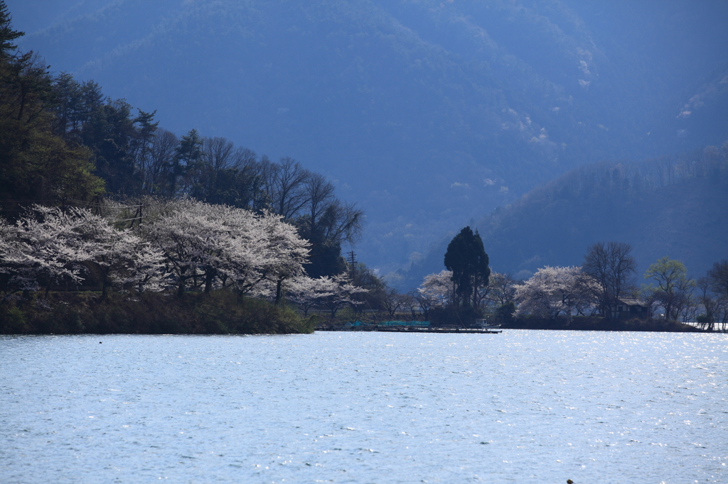 岬の春