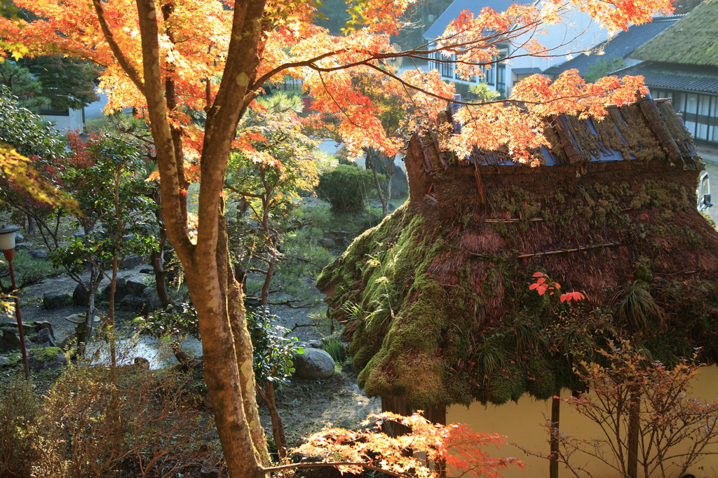 小屋と紅葉に射し込む朝日