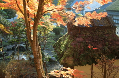 小屋と紅葉に射し込む朝日