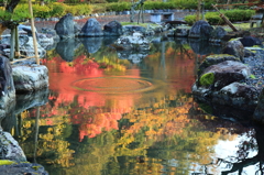 池に描かれた紅葉風景