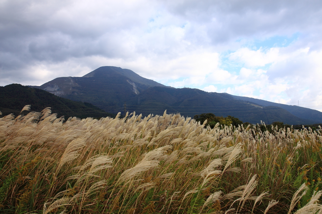 秋の伊吹山