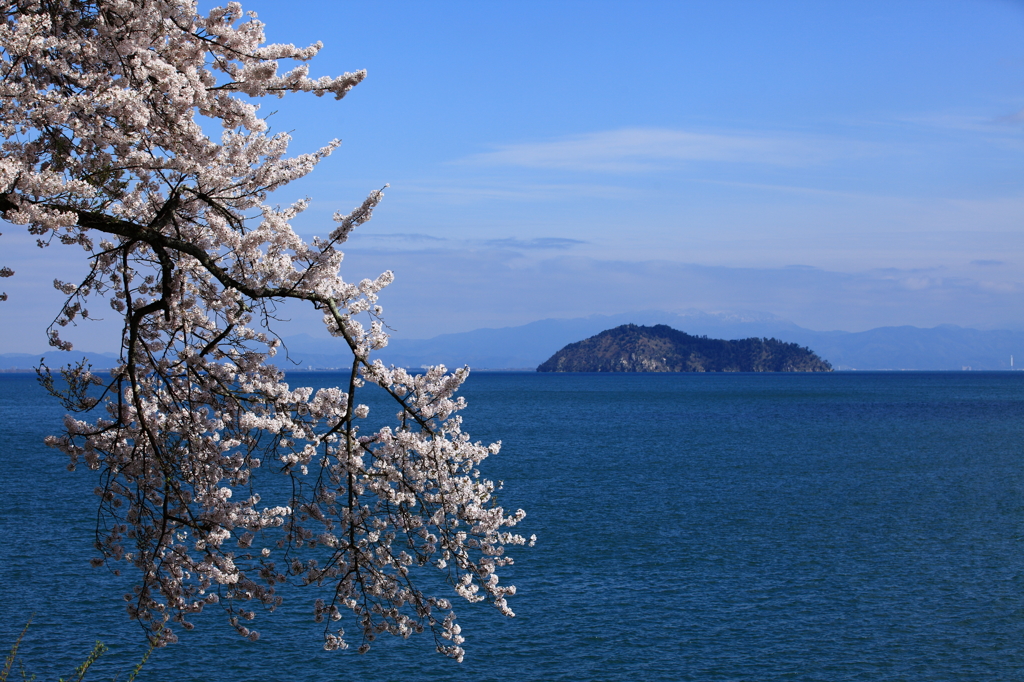 春の湖岸から望む