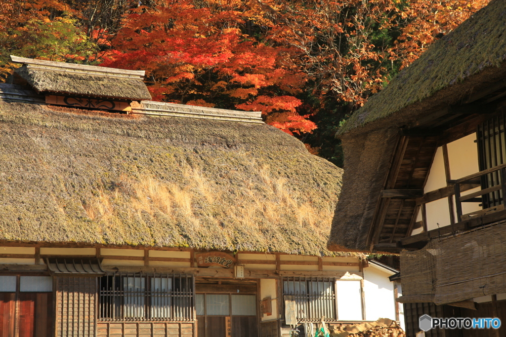 秋の茅葺屋根