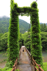 恋来い橋