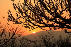 春の夕日
