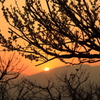 春の夕日