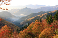谷の紅葉