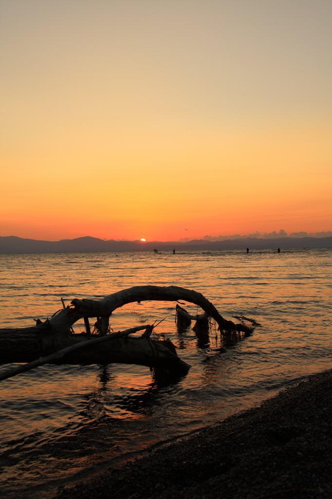 流木と夕焼け