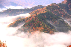 山霧眺望