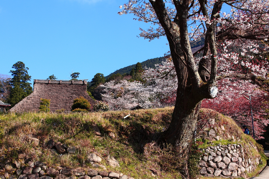 なつかしき風景