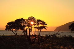 夕日百選の地