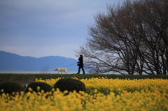 早春の散歩