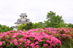 五月の城