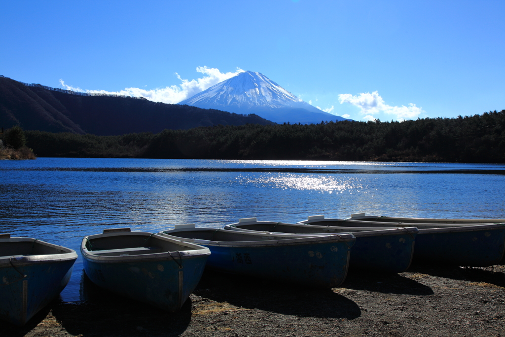 富士と湖