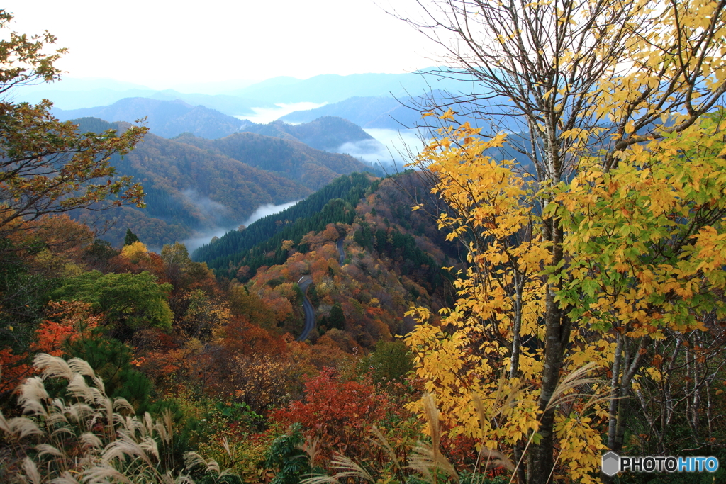 晩秋の山