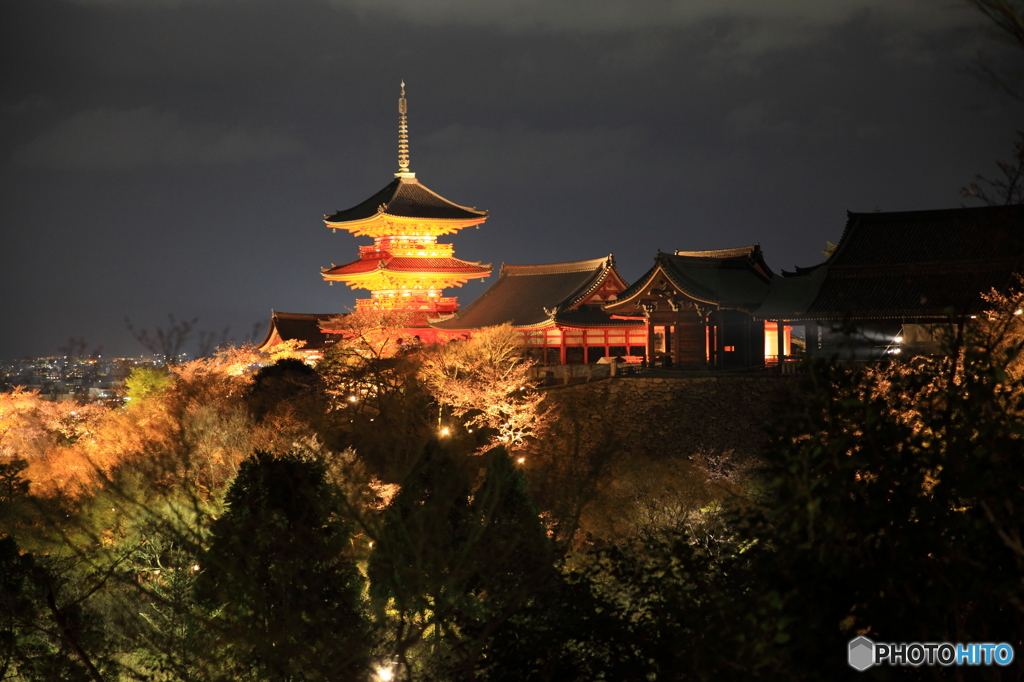 塔の夜景