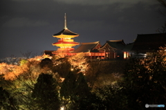 塔の夜景